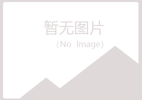 铁岭山柳采矿有限公司